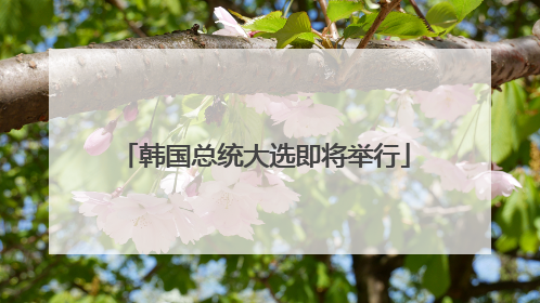 韩国总统大选即将举行