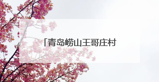 青岛崂山王哥庄村幼儿园拟选址区域控规调整批前公示