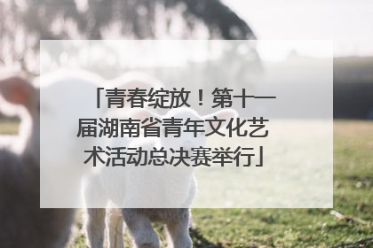 青春绽放！第十一届湖南省青年文化艺术活动总决赛举行