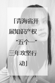 青海省开展知识产权“五个一”三年攻坚行动