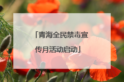 青海全民禁毒宣传月活动启动