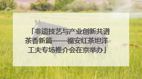 非遗技艺与产业创新共谱茶香新篇——福安红茶坦洋工夫专场推介会在京举办
