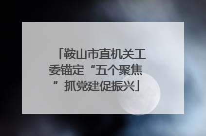 鞍山市直机关工委锚定“五个聚焦”抓党建促振兴
