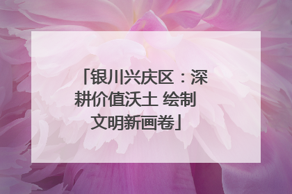 银川兴庆区：深耕价值沃土 绘制文明新画卷