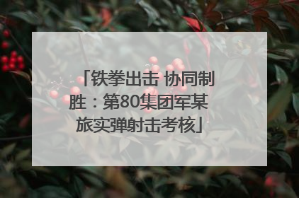 铁拳出击 协同制胜：第80集团军某旅实弹射击考核