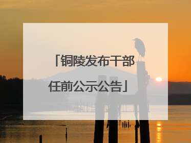 铜陵发布干部任前公示公告