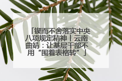 锲而不舍落实中央八项规定精神丨云南曲靖：让基层干部不用“围着表格转”