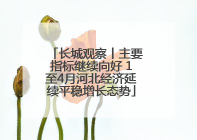 长城观察丨主要指标继续向好 1至4月河北经济延续平稳增长态势