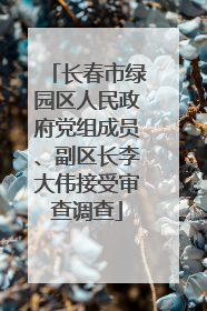 长春市绿园区人民政府党组成员、副区长李大伟接受审查调查