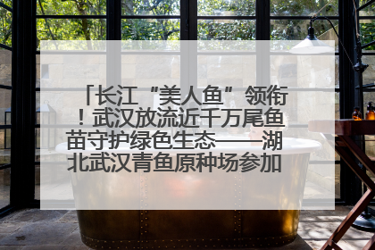 长江“美人鱼”领衔！武汉放流近千万尾鱼苗守护绿色生态——湖北武汉青鱼原种场参加2025年“全国放鱼日”增殖放流活动