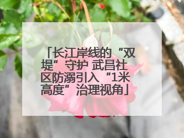 长江岸线的“双堤”守护 武昌社区防溺引入“1米高度”治理视角