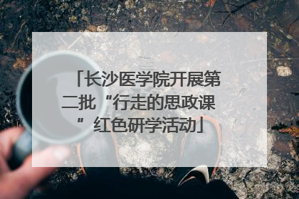 长沙医学院开展第二批“行走的思政课”红色研学活动