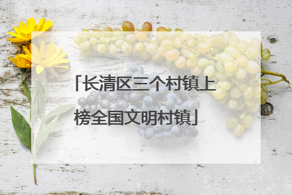 长清区三个村镇上榜全国文明村镇