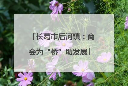 长葛市后河镇：商会为“桥”助发展