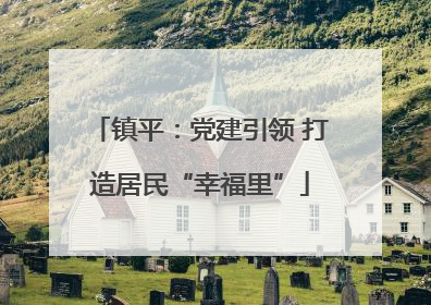 镇平：党建引领 打造居民“幸福里”