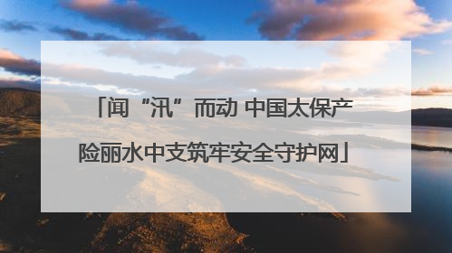 闻“汛”而动 中国太保产险丽水中支筑牢安全守护网