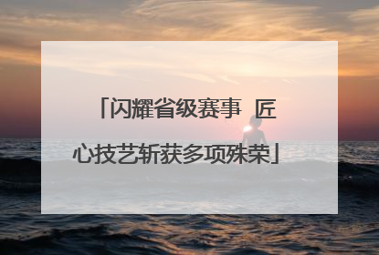 闪耀省级赛事  匠心技艺斩获多项殊荣