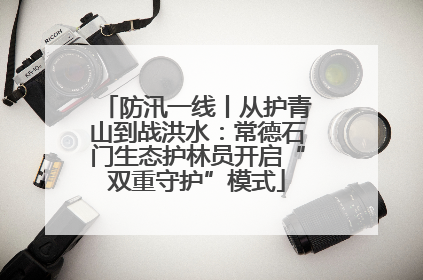 防汛一线丨从护青山到战洪水：常德石门生态护林员开启“双重守护”模式