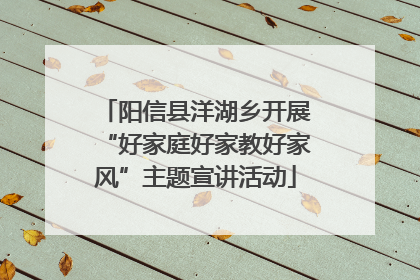 阳信县洋湖乡开展“好家庭好家教好家风”主题宣讲活动