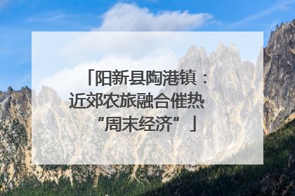 阳新县陶港镇：近郊农旅融合催热“周末经济”