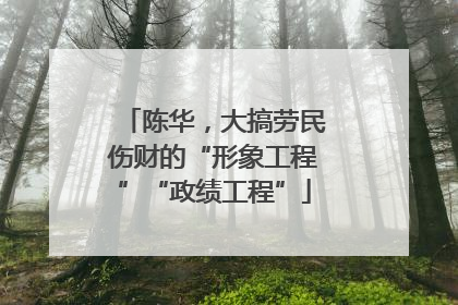 陈华，大搞劳民伤财的“形象工程”“政绩工程”