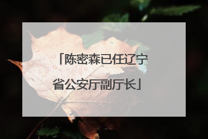 陈密森已任辽宁省公安厅副厅长