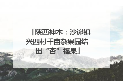 陕西神木：沙峁镇兴四村千亩杂果园结出“杏”福果