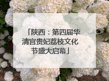 陕西：第四届华清宫贵妃荔枝文化节盛大启幕