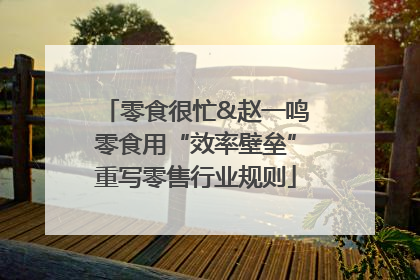 零食很忙&赵一鸣零食用“效率壁垒”重写零售行业规则