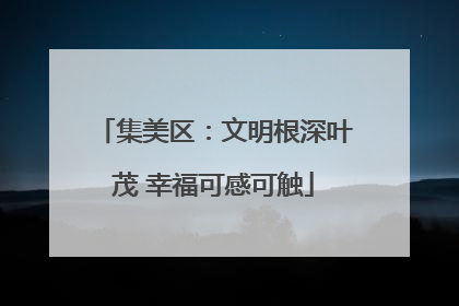 集美区：文明根深叶茂 幸福可感可触