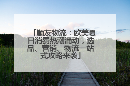 顺友物流：欧美夏日消费热潮涌动，选品、营销、物流一站式攻略来袭