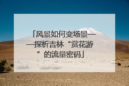风景如何变场景——探析吉林“赏花游”的流量密码