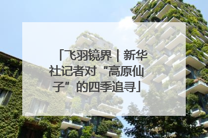 飞羽镜界｜新华社记者对“高原仙子”的四季追寻