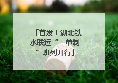 首发！湖北铁水联运“一单制”班列开行