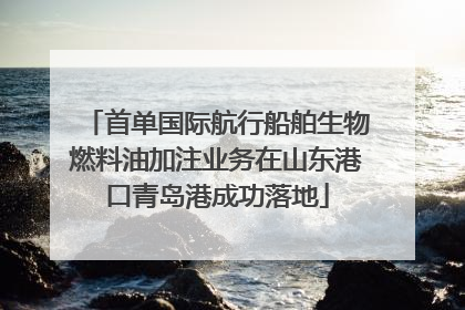 首单国际航行船舶生物燃料油加注业务在山东港口青岛港成功落地