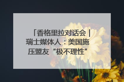 香格里拉对话会｜瑞士媒体人：美国施压盟友“极不理性” 欧洲国家无意与中国“脱钩断链”