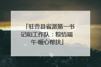 驻曹县省派第一书记和工作队：粽情端午·暖心帮扶