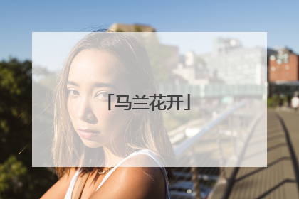 马兰花开
