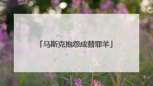 马斯克抱怨成替罪羊