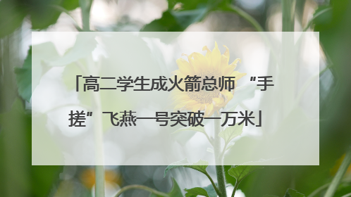 高二学生成火箭总师 “手搓”飞燕一号突破一万米