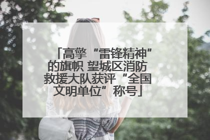 高擎“雷锋精神”的旗帜 望城区消防救援大队获评“全国文明单位”称号
