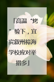 高温“烤”验下，宜宾叙州樟海学校应对举措多