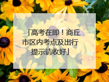 高考在即！商丘市区内考点及出行提示请收好