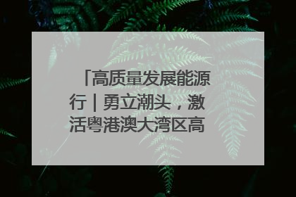 高质量发展能源行｜勇立潮头，激活粤港澳大湾区高质量发展动力源