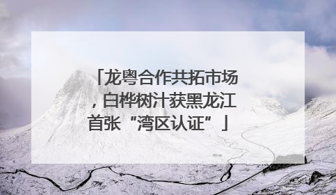 龙粤合作共拓市场，白桦树汁获黑龙江首张“湾区认证”