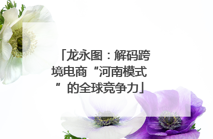 龙永图：解码跨境电商“河南模式”的全球竞争力