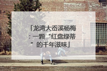 龙湾大岙溪杨梅：一颗“红盘绿蒂”的千年滋味