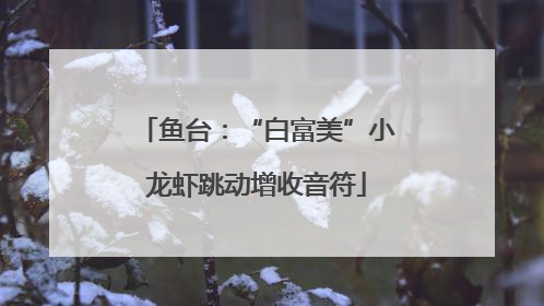 鱼台：“白富美”小龙虾跳动增收音符