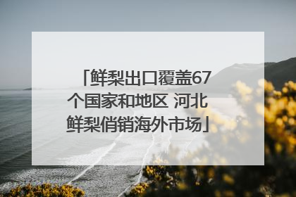 鲜梨出口覆盖67个国家和地区 河北鲜梨俏销海外市场