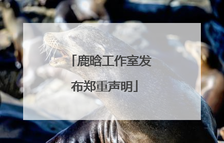 鹿晗工作室发布郑重声明